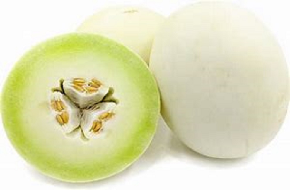 MELON QUALITY SEED`S "Cantaloupe / HONEYDEW HYBRID Lazada PH