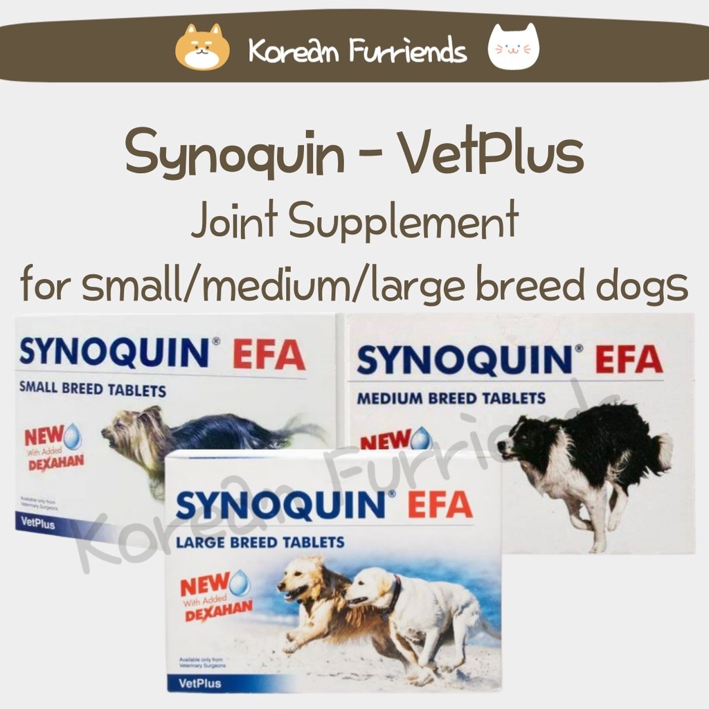 Synoquin 2024 medium dog