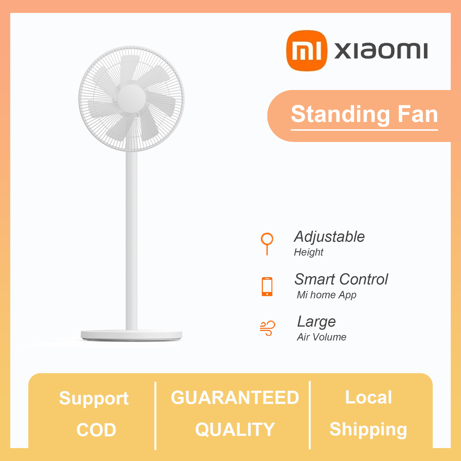 jllds01dm xiaomi