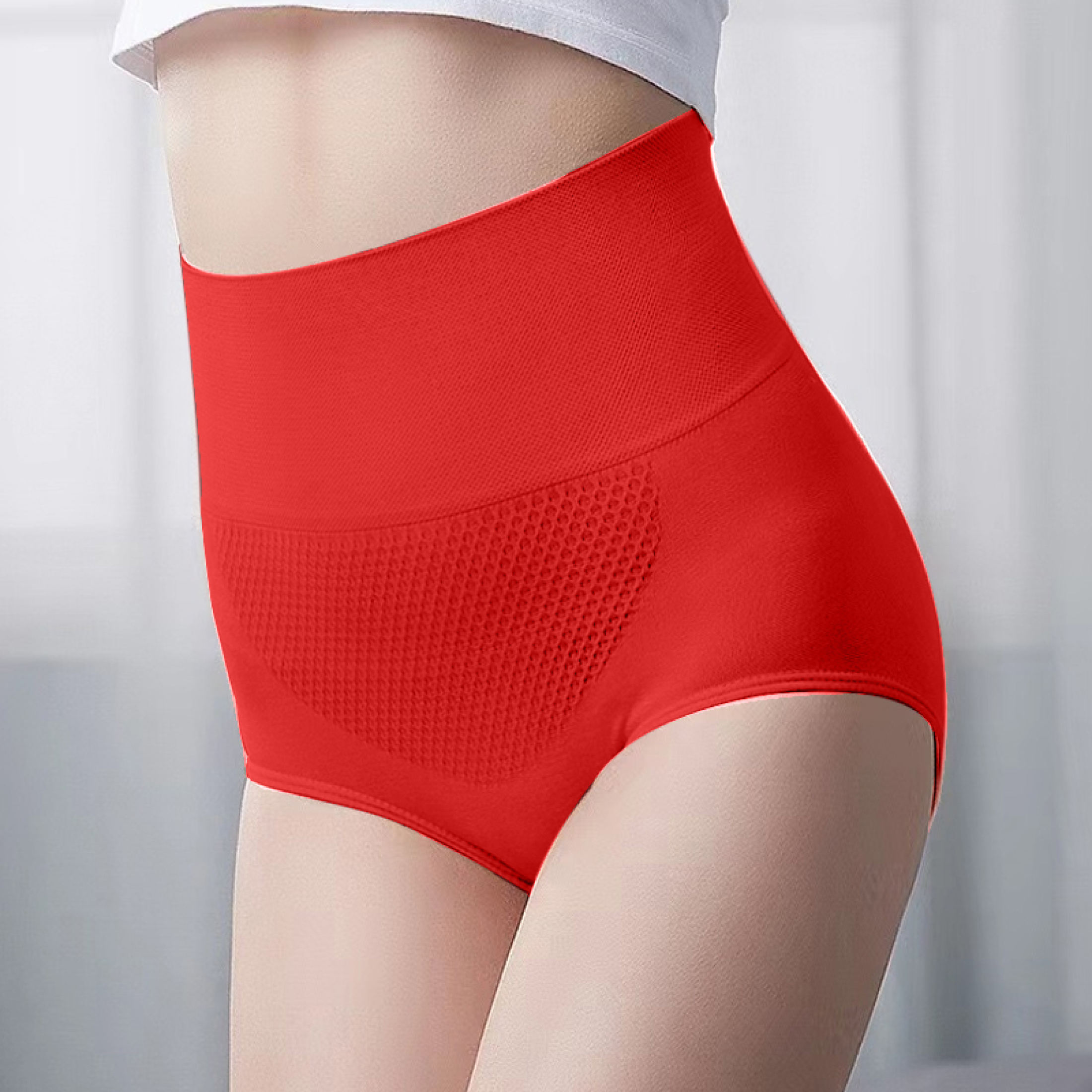 CAMELLIA High Waist Girdle Panty Body Shaper Seamless Panties