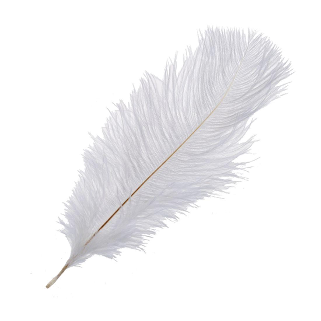 White Fliyeong 10 Pieces Natural Ostrich Feather 20-25cm Suitable for DIY Wedding,Party,Home Decoration
