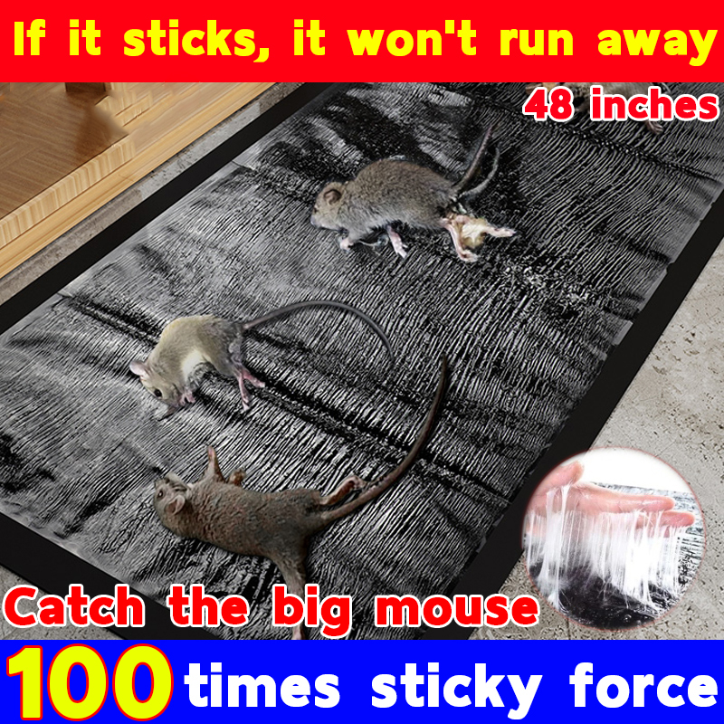 Shop Japan Sticky Large Mouse Trap with great discounts and prices online -  Nov 2023