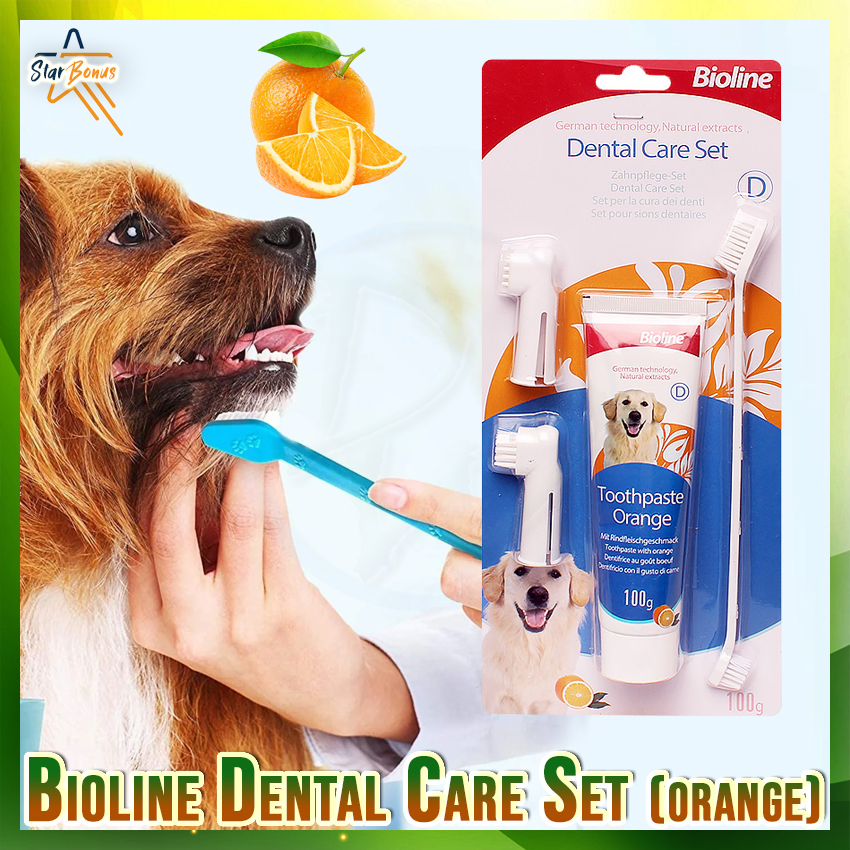 (VARIATION) Bioline Toothpaste with Cheese Flavor 50g for Cats Dental ...