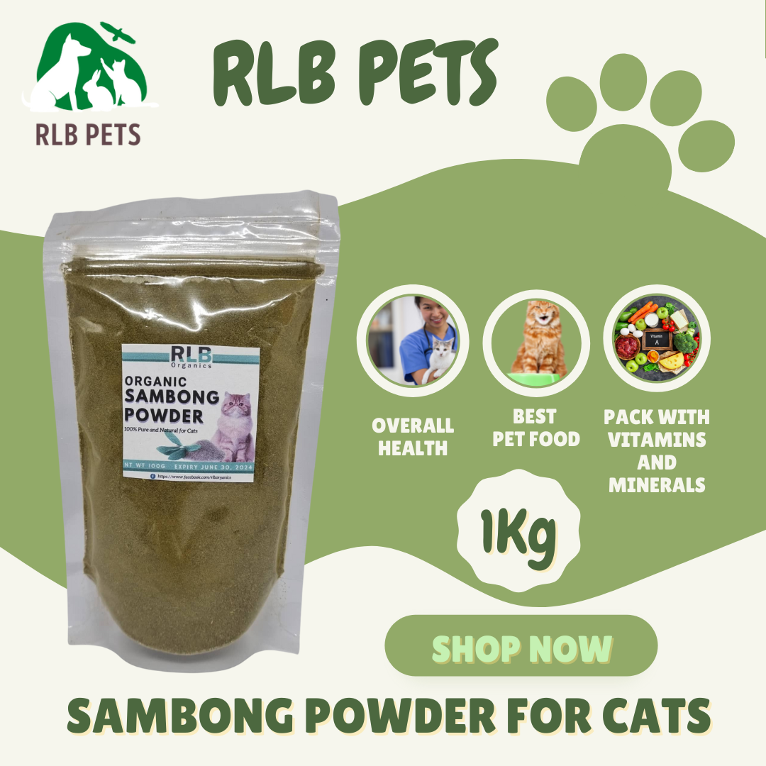 Pure Natural Sambong Powder for Cats Overall Health with Vitamins and