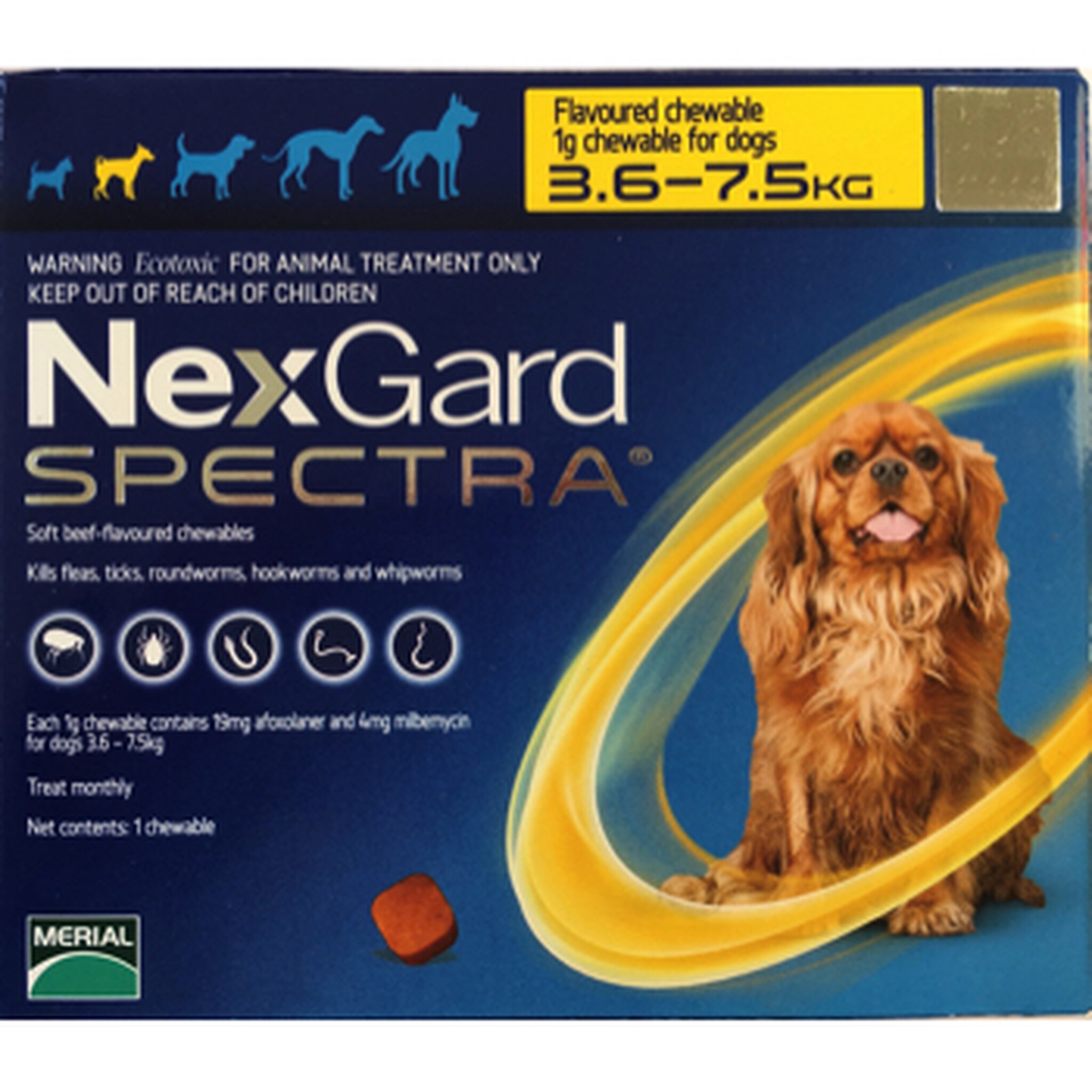 NexGard Spectra rágótabletta kutyáknak | Cédrus Patika