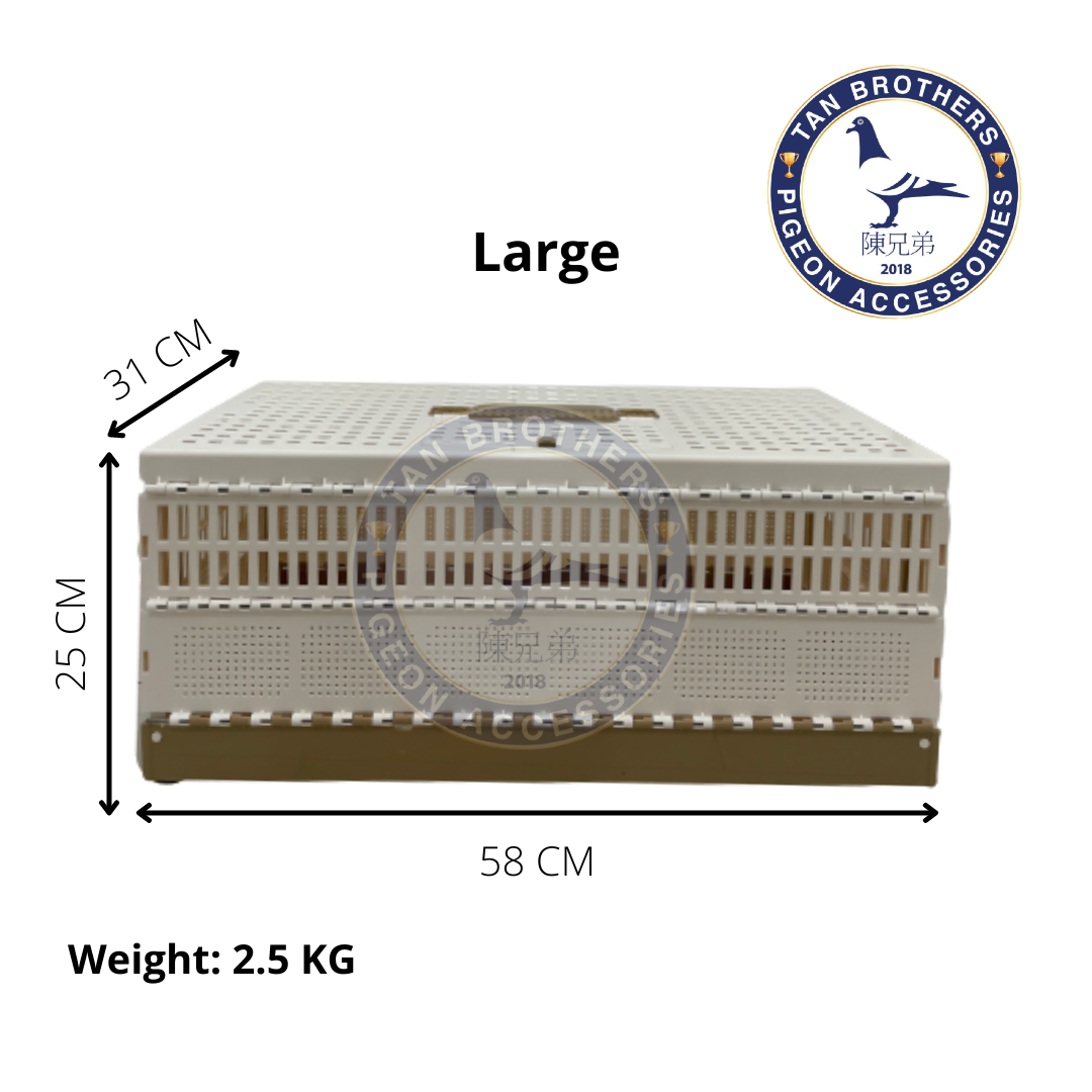 Pigeon Training Box Lazada PH