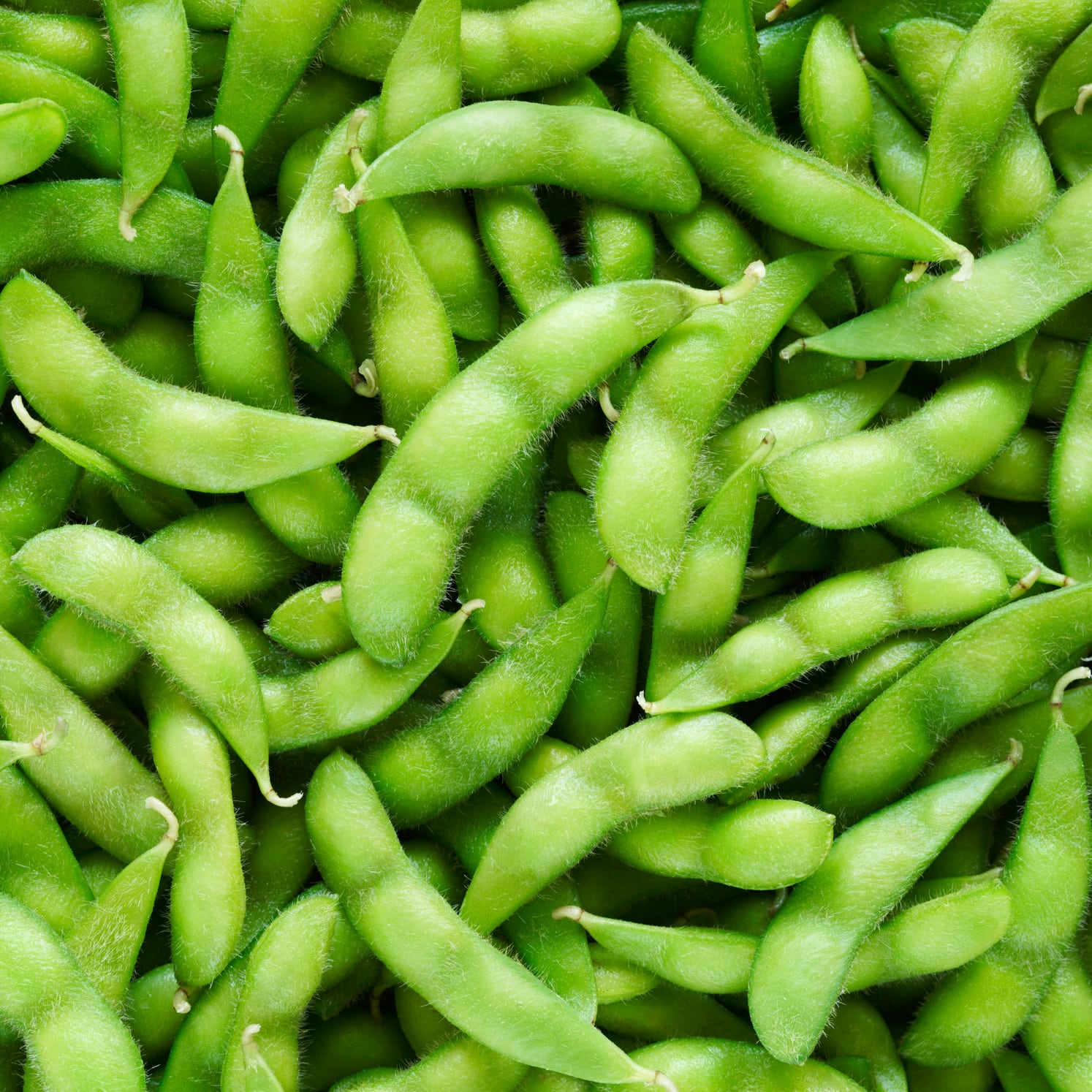 [Plantfilled] Soybean Edamame Soya Beans Vegetable buy 1 take 1， 50 seeds (not plants