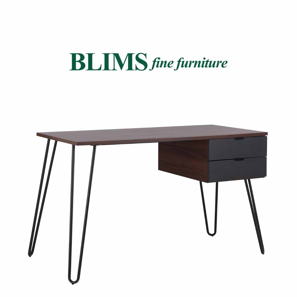 blims computer table