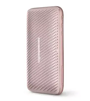 esquire 2 carrying case