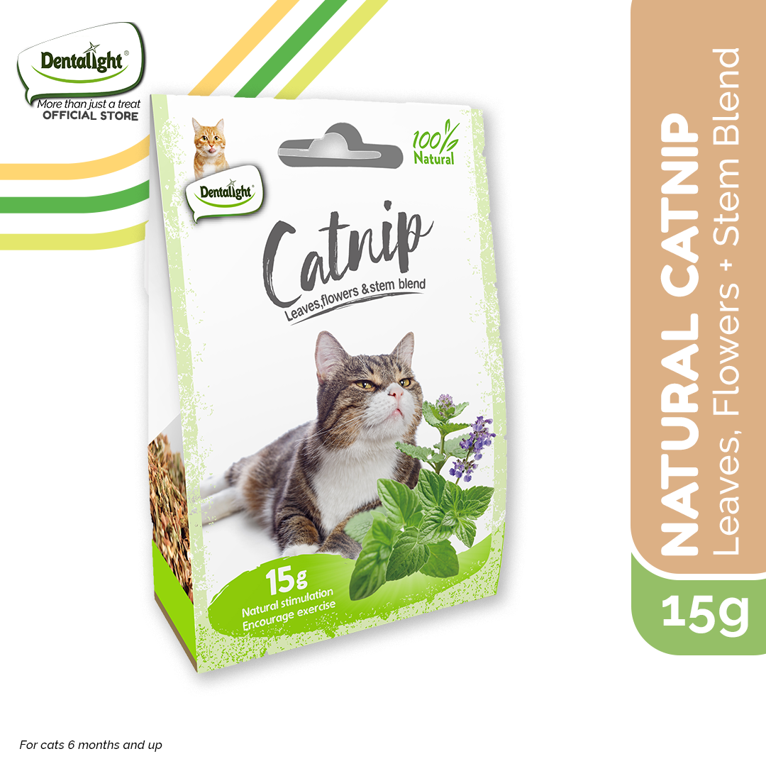 Dentalight Natural Catnip Leaves, Flowers & Stem Blend 15g Lazada PH