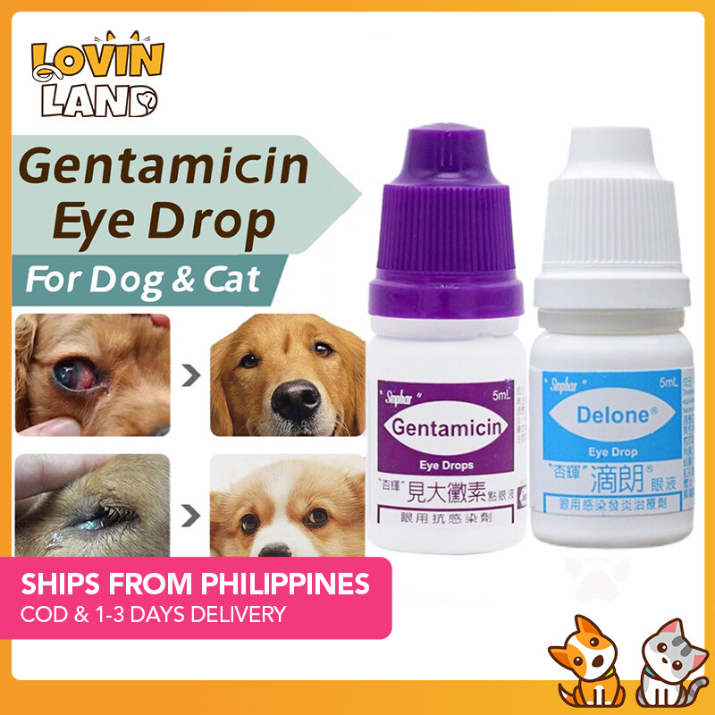 Gentamicin eye shop drops for cats