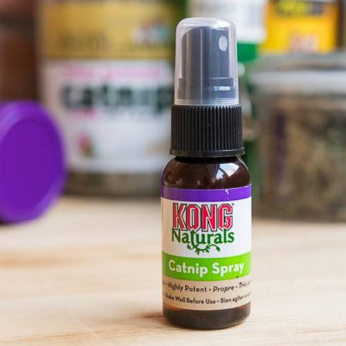 kong naturals catnip