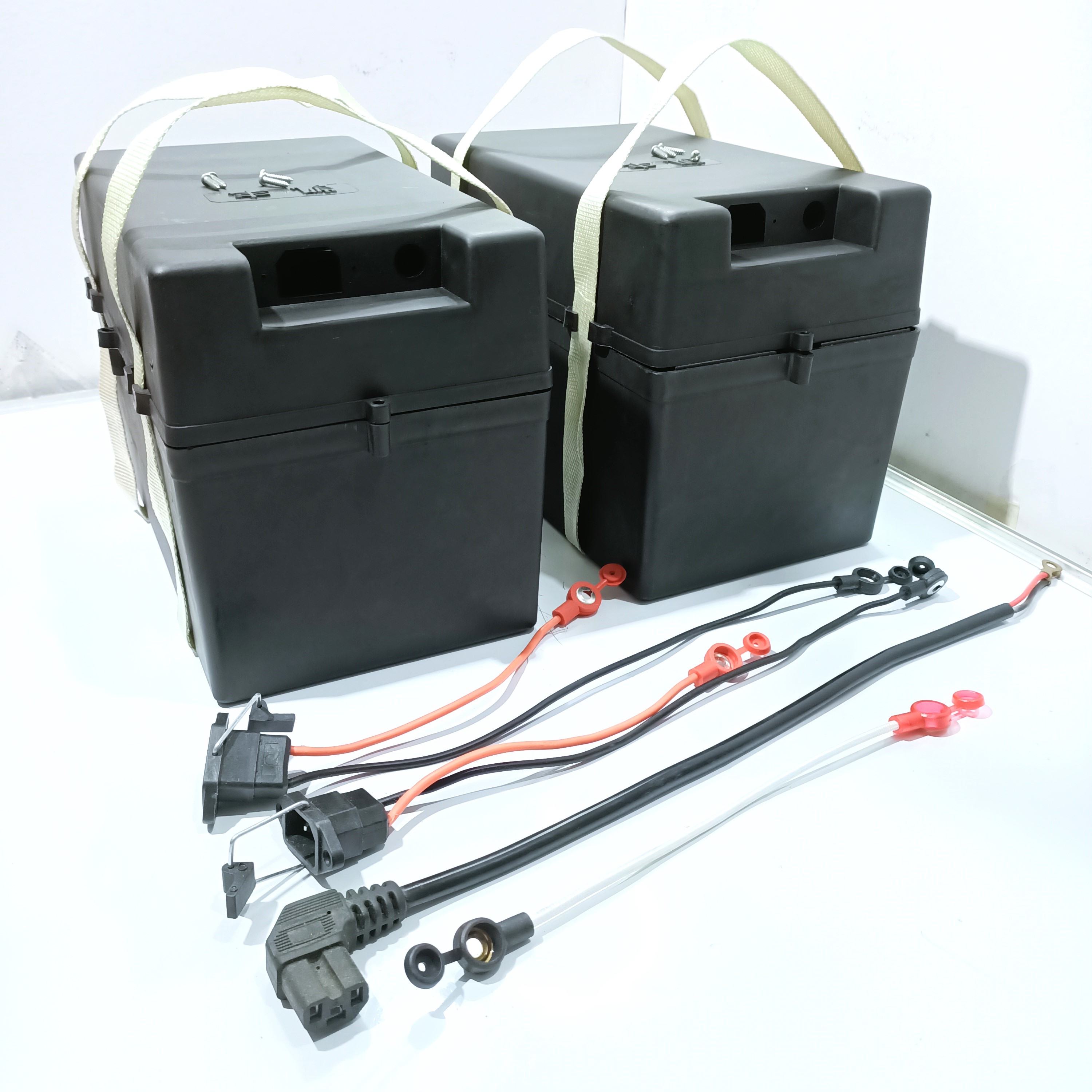 Ebike battery 2024 carrying case