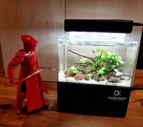 Cunzo Mini Desktop Aquarium Fish /& Shrimp Tank with Water Filtration LED /& Pump
