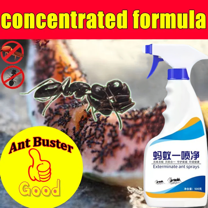 Never see ants again！Ant Killer Spray Insecticide Spray 500ml Safe and ...
