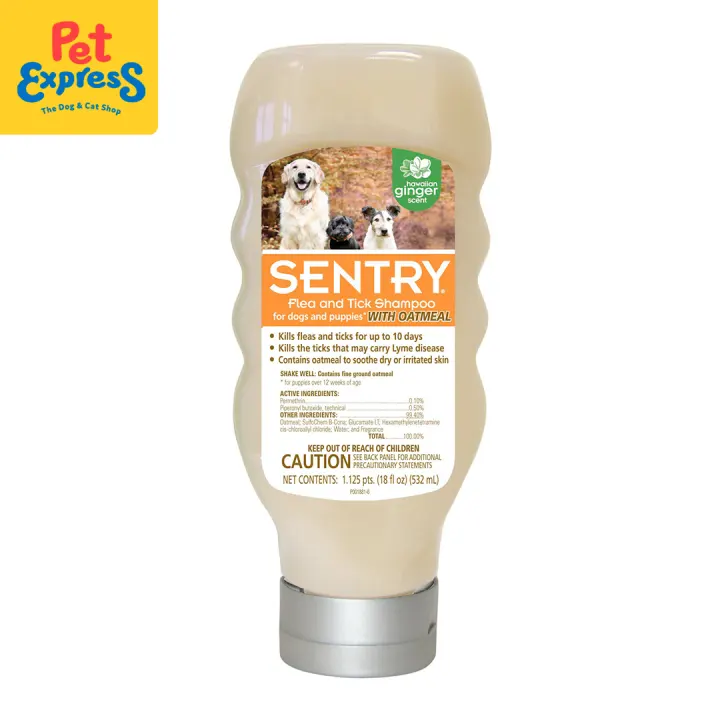 dog shampoo that kills fleas