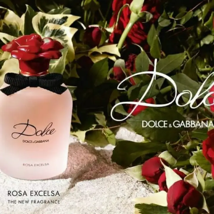 d&g rosa excelsa