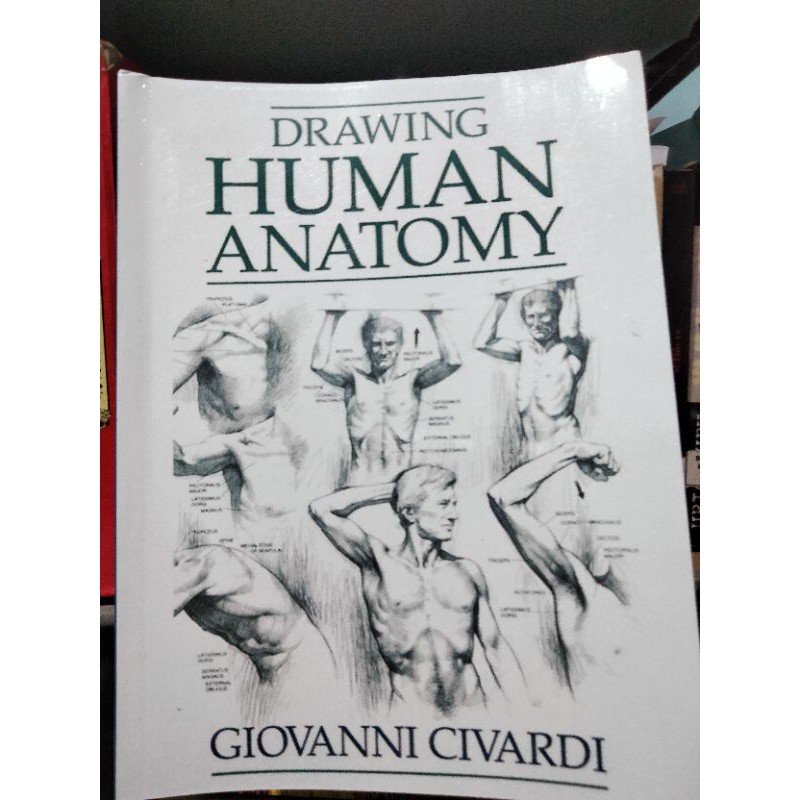 Drawing Human Anatomy by Giovanni Civardi in English Book for Arts