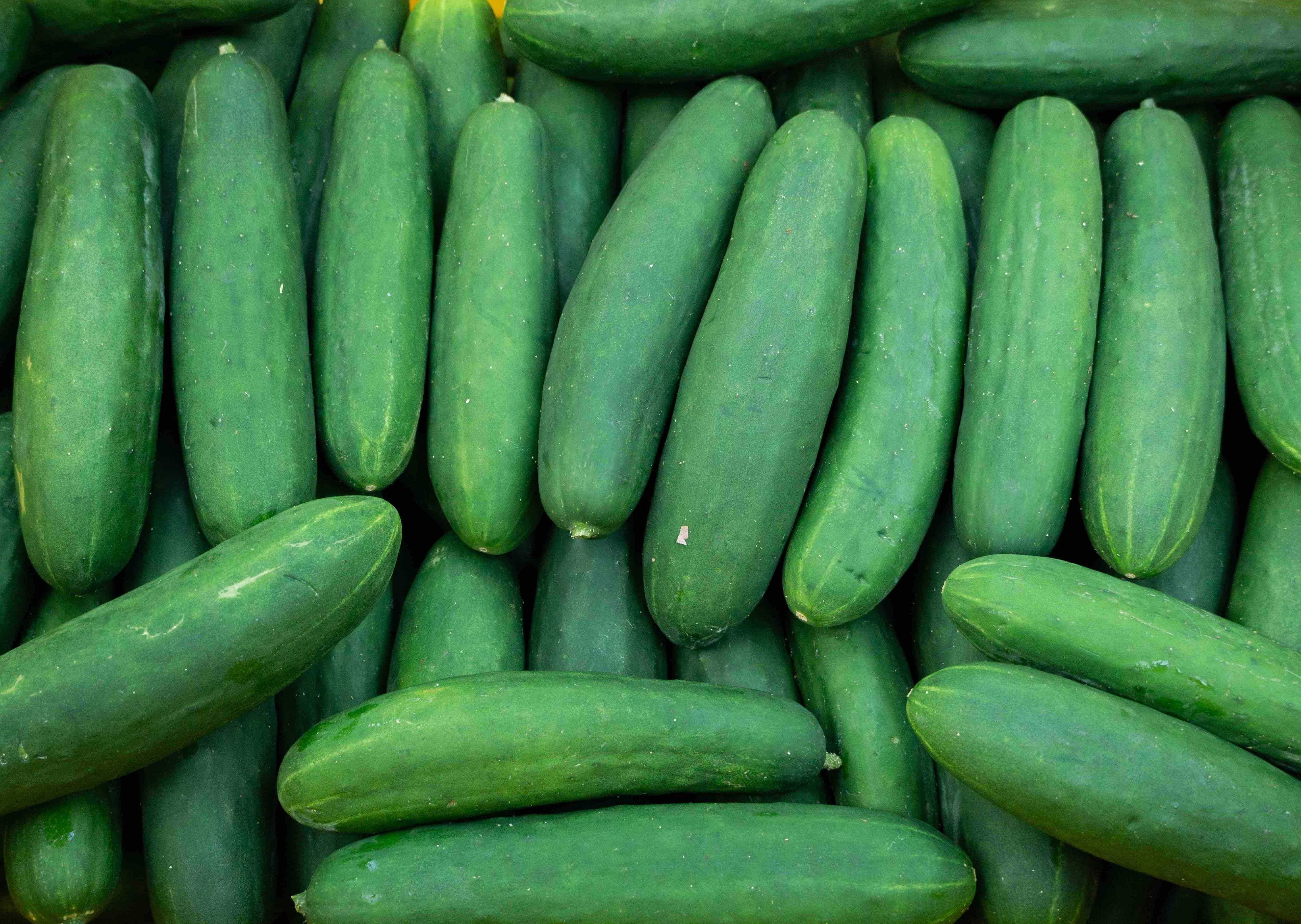Cucumber 500 grams Lazada PH