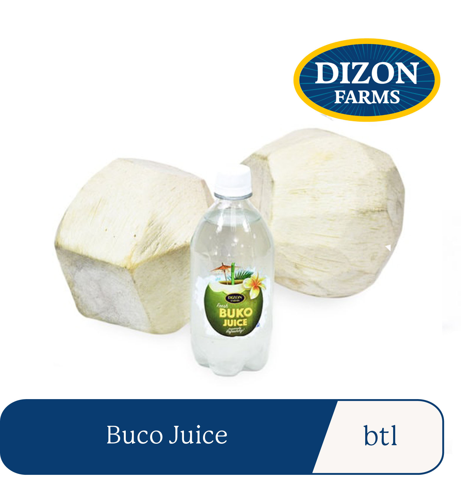 Dizon Farms Buko Juice Lazada PH