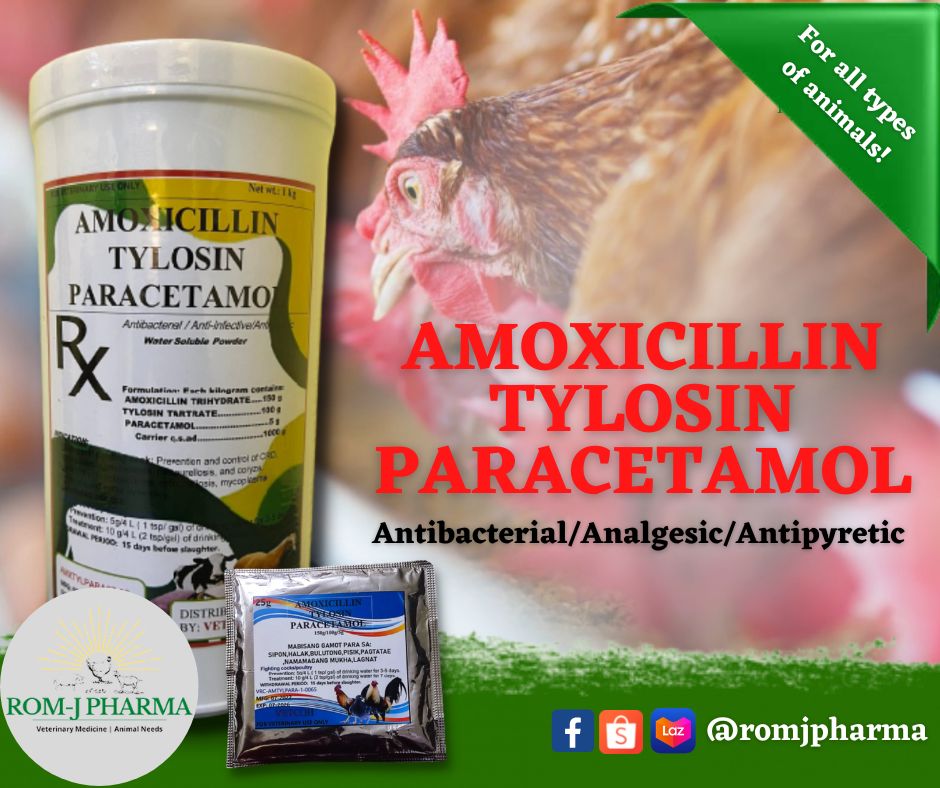 VETCOH AMOXICILLIN + TYLOSIN + PARACETAMOL 1KG CAN ROMJ PHARMA