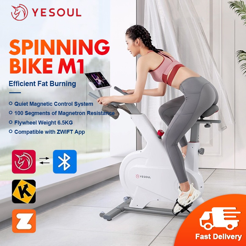 Xiaomi Yesoul M1 Spinning Bike stationary bike System Indoor