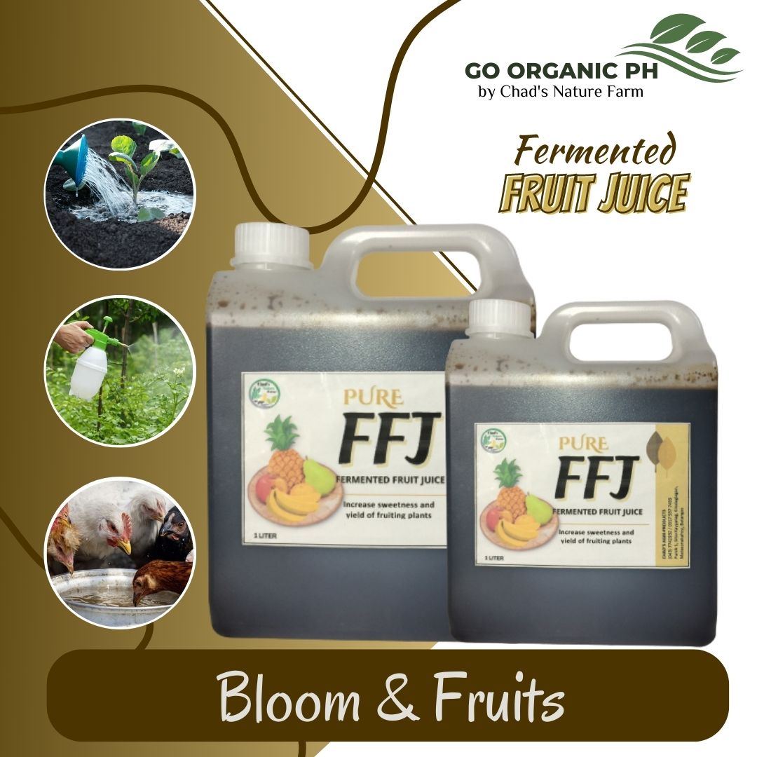 GO ORGANIC PH PURE FFJ (Fermented Fruit Juice) 1L & 500 ML Banana/ Squash/ Papaya Extracts as