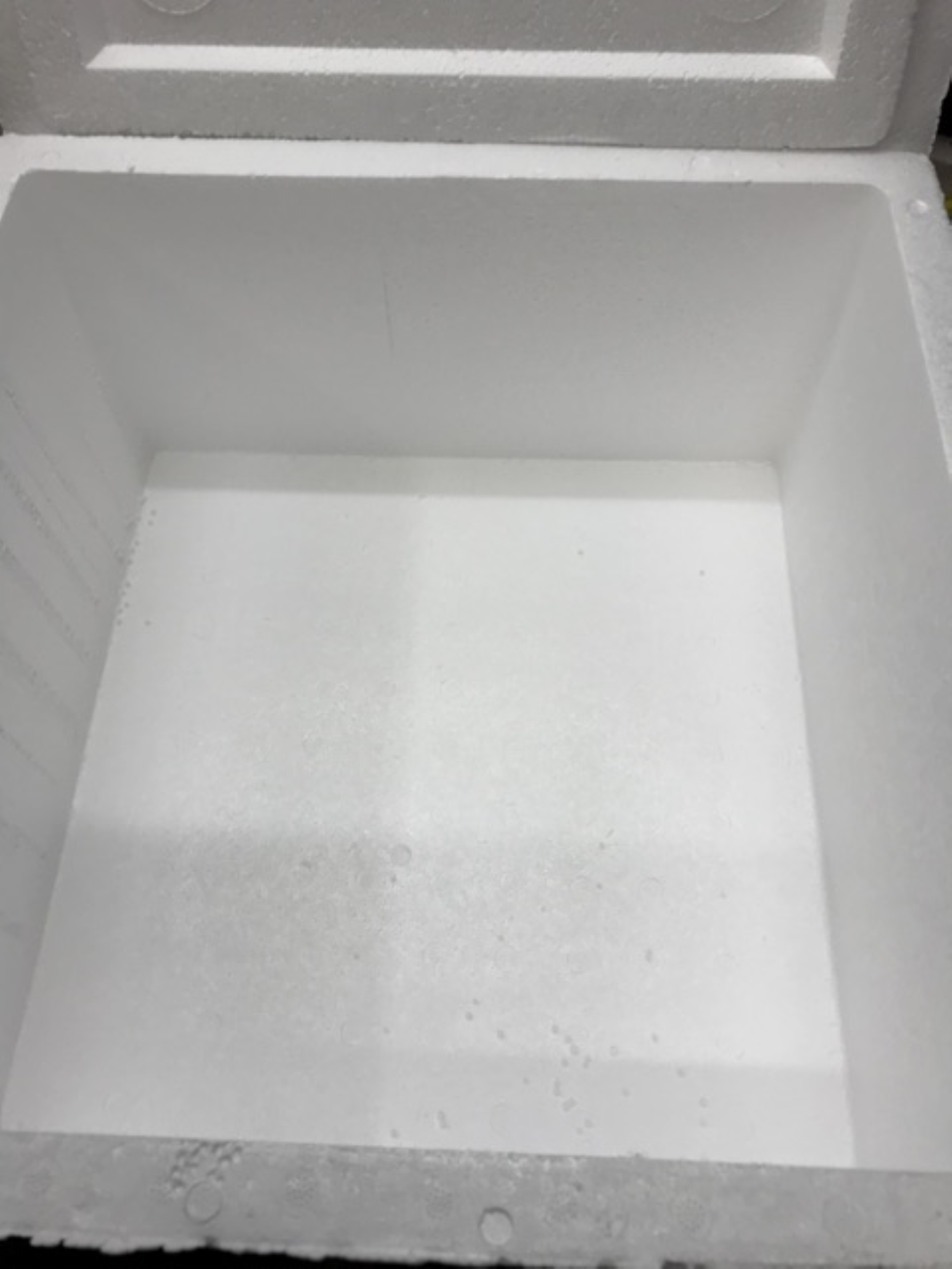 STYRO BOX / HALF LAYER / HALF BOX / ICE CHEST / ICE BOX / STYROFOAM
