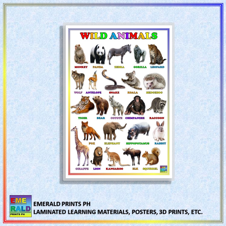 Wild Animals Chart For Kids Learn About Jungle Or Forest Animals At ...