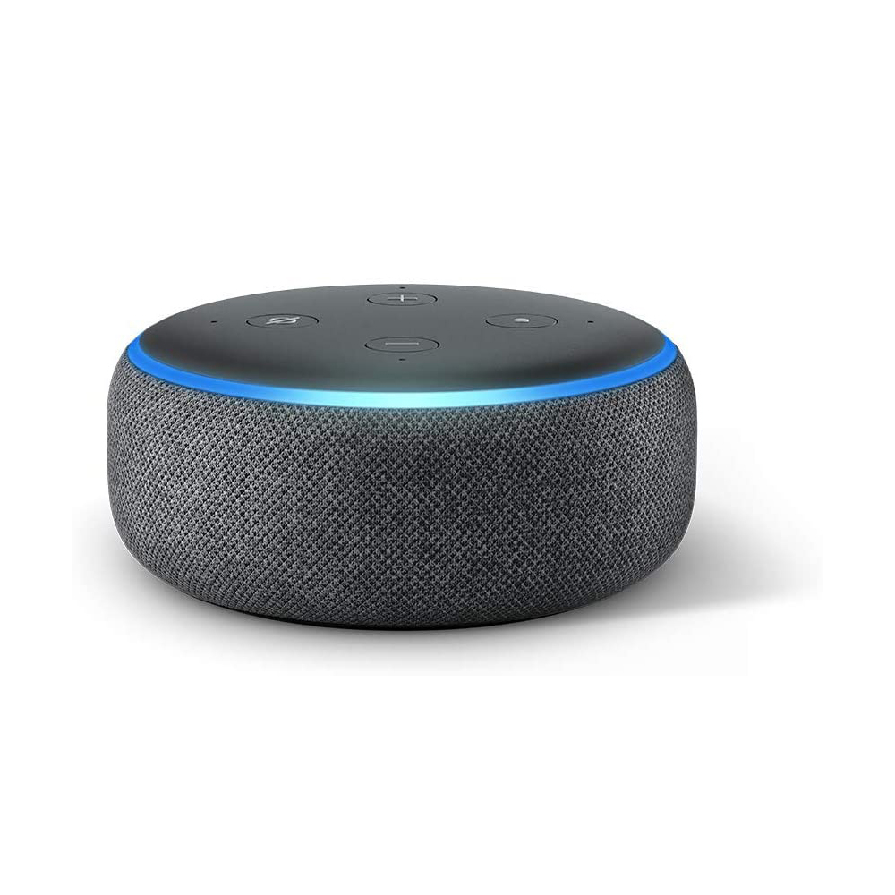 echo dot voice control