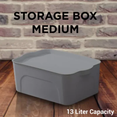 DAU Yvonne Home Clothes Underwear Storage Shelf Organizer Plastic Container Box w/ Handle (Medium)