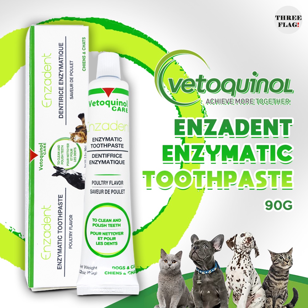 Vetoquinol Enzadent Enzymatic Toothpaste for Dogs & Cats Lazada PH