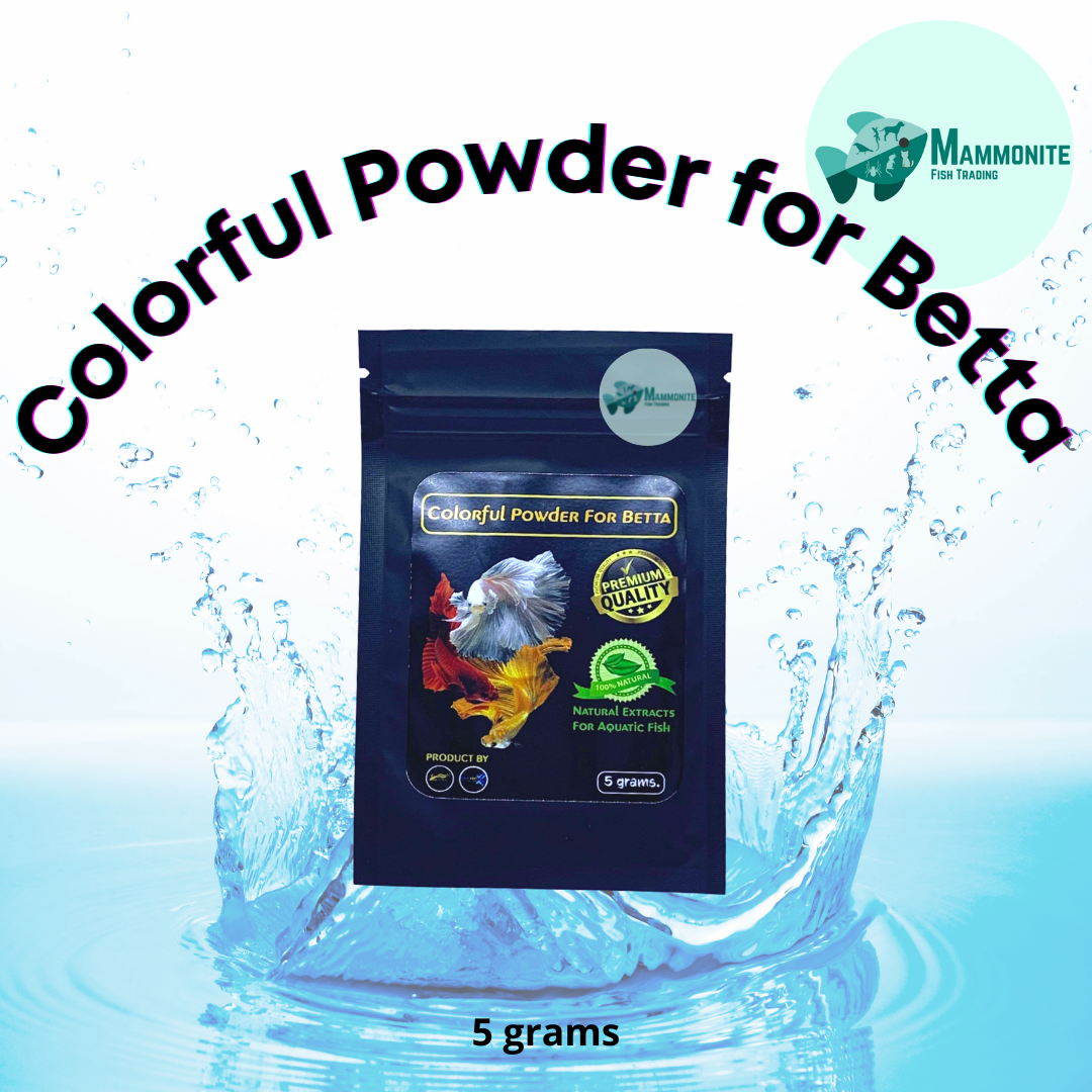 Ketapang Powder 5g Advanced Grooming For Betta Tannins Talisay Indian