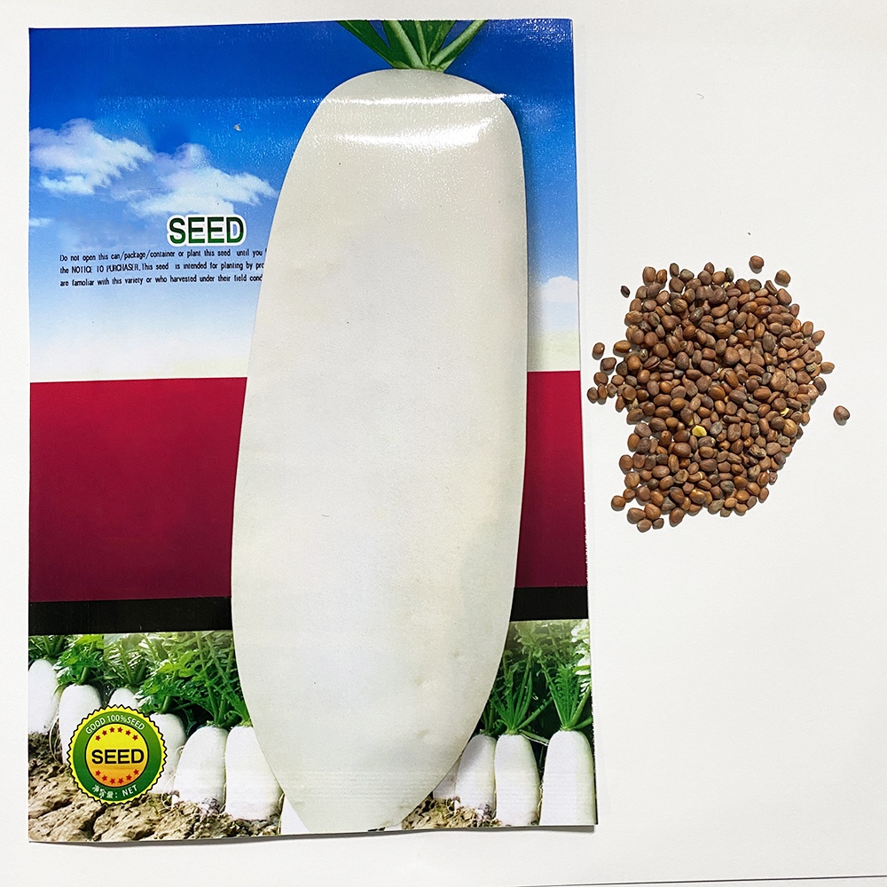 One Supermarket Hybrid Fruits and Vegetable Seeds Lazada PH