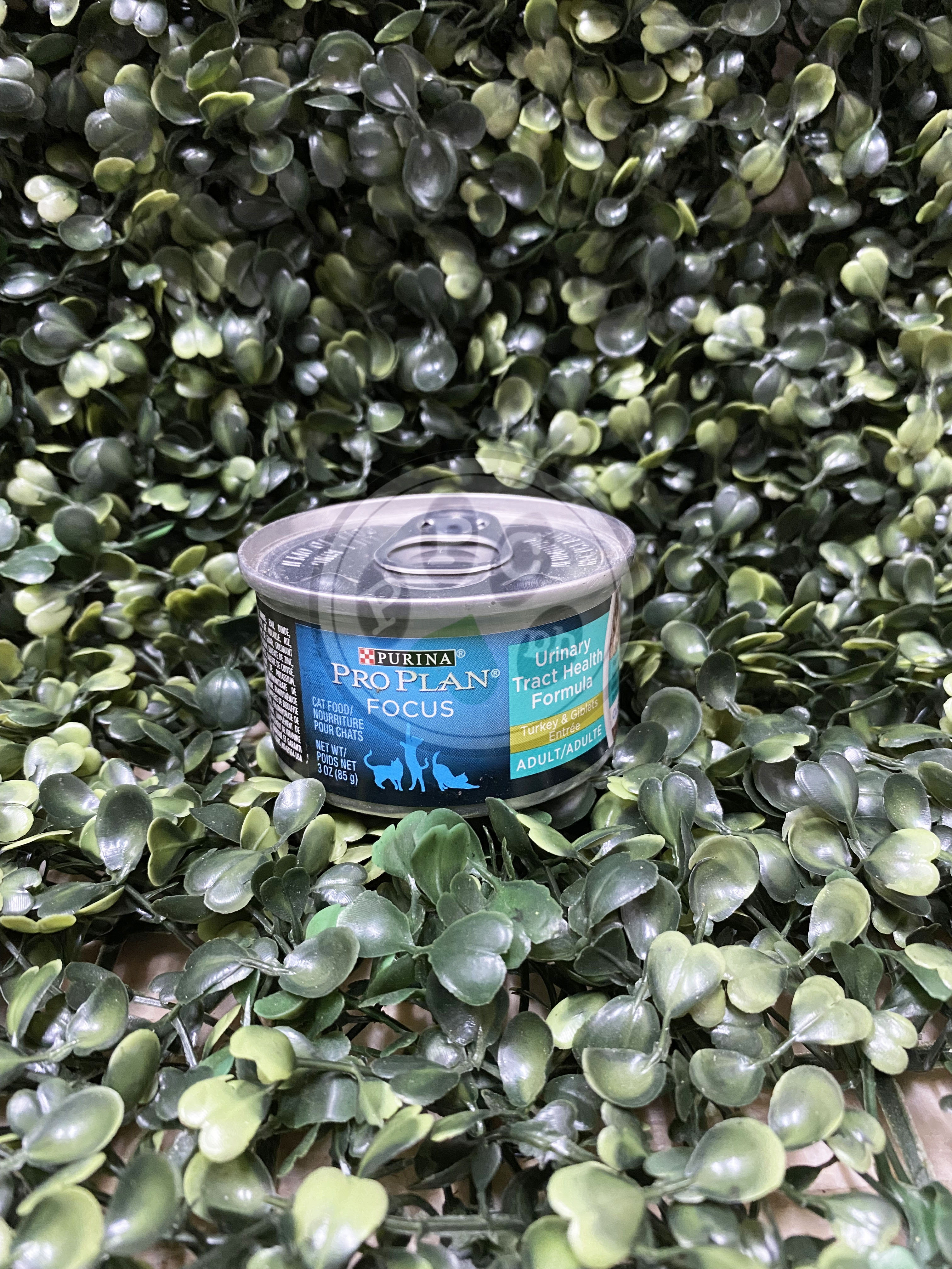 Purina Pro Plan Urinary Tract Health Formula Turkey & Giblets Entrée ...