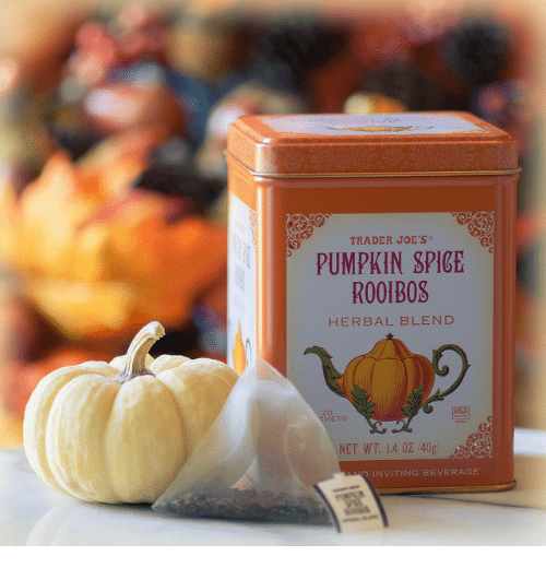 Trader Joes Bag Trader Joe's Pumpkin Spice Rooibos Tea 20