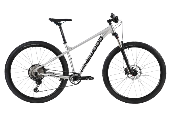 Pinewood dynamite discount trail 29er price