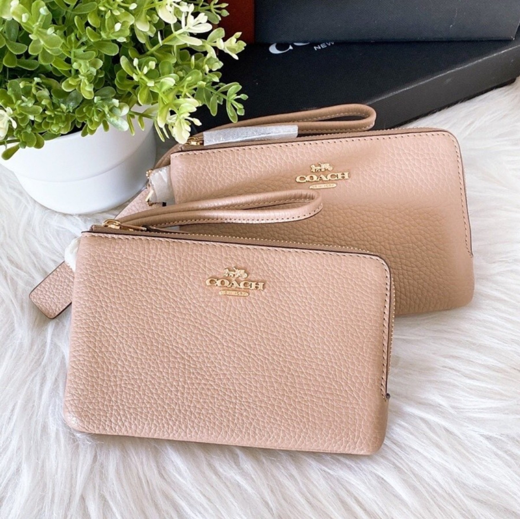 coach wristlets for women