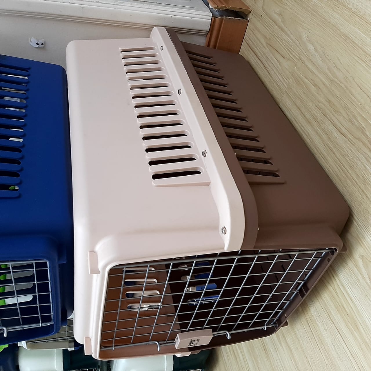 stylette pet carrier