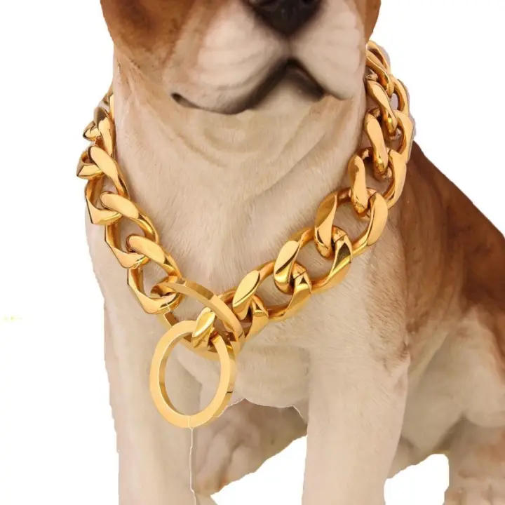 dog chain necklace collar