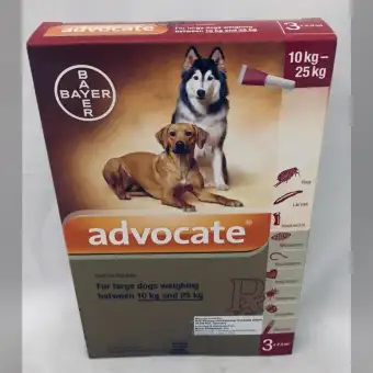 advocate for dogs online