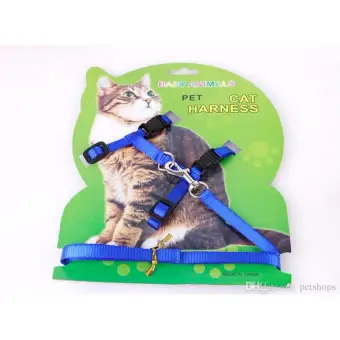 cat harness lazada