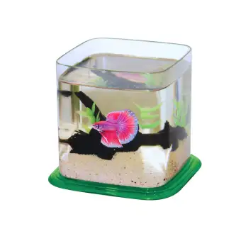 aquarium mini lazada