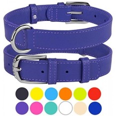 dog collar brands