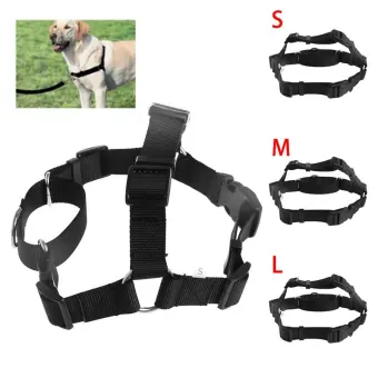 easy walk dog collar