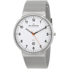 skagen denmark watch price