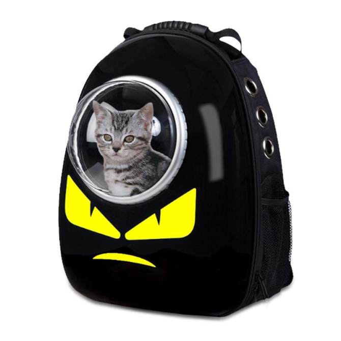 cat backpack bubble window