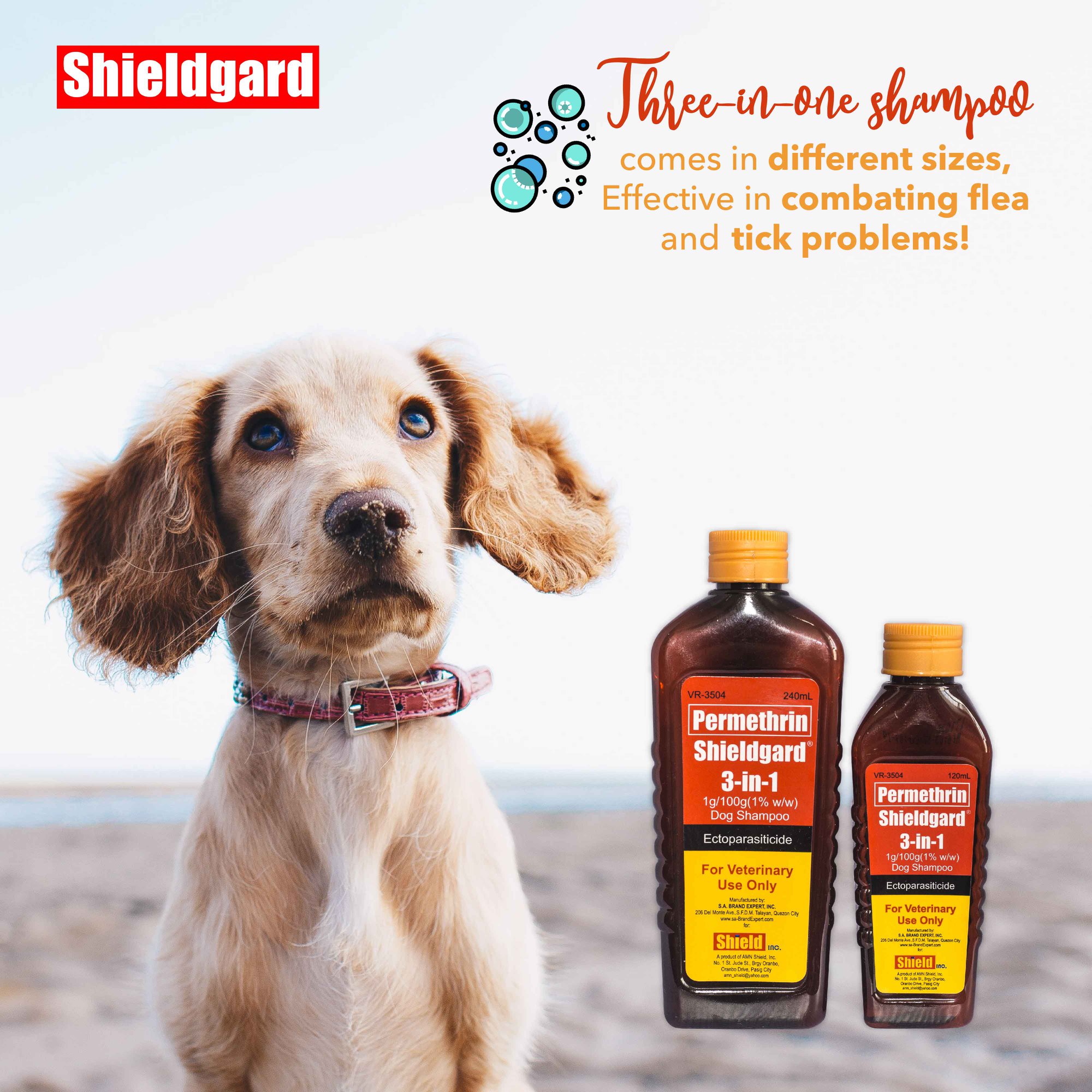 permethrin in dog shampoo