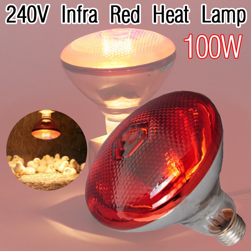 GLP 100W Infrared Heat Lamp Bulb Brooder Light 240V Hog Boar Chicken