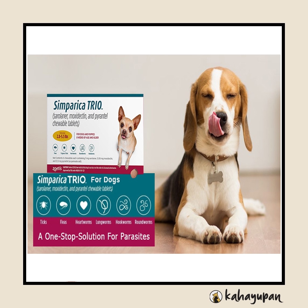 Simparica Anti Tick Flea Mange Heartworm and Dewormer for 25kg Dogs (3